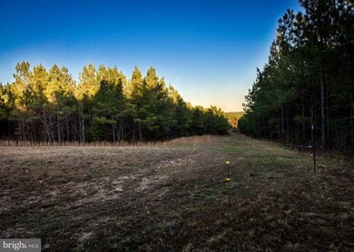 12700 New Chapel Rd, Spotsylvania, VA 22551 - photo 2