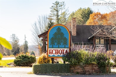 446 Peaceful Haven Dr unit 811, Boone, NC 28607 - photo 7