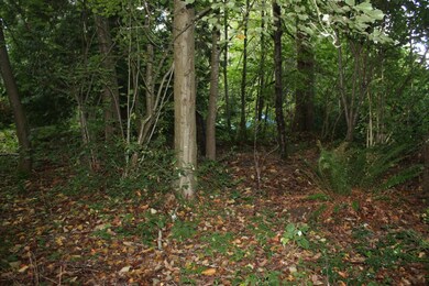 226 216th St SW, Bothell, WA 98021 - photo 3