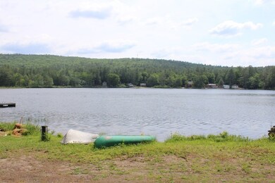 319 Wendell Rd, Warwick, MA 01378 - photo 4