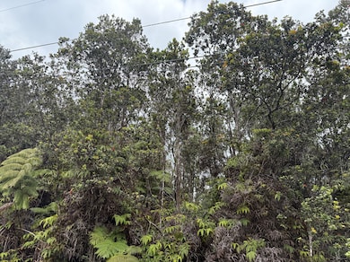 0 8th St unit 719837, Volcano, HI 96785 - photo 3