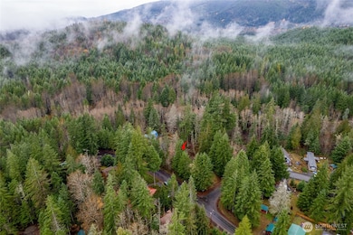 318 Paradise Dr, Eatonville, WA 98328 - photo 2