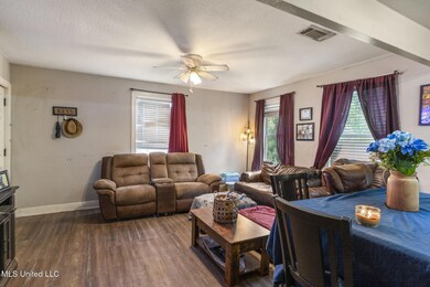 420 Old Richton Rd, Petal, MS 39465 - photo 5