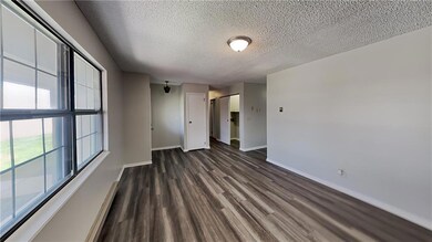 311 Conrad Dr, Lapel, IN 46051 - photo 4