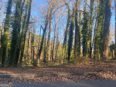 0 Lakeside Dr unit 10655294, Ellenwood, GA 30294 - photo 3