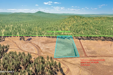 14638 E Keith Dr, Parks, AZ 86018 - photo 2