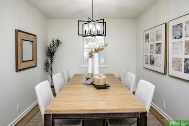 906 Chisholm Trail, Papillion, NE 68046 - photo 5