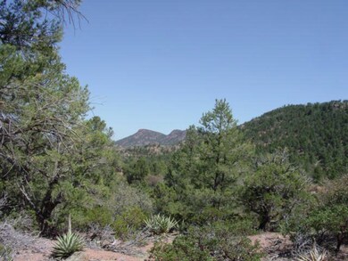 1203 E Phoenix St, Payson, AZ 85541 - photo 6