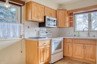 1932 E Hibbard Rd, Owosso, MI 48867 - photo 5