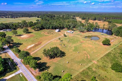 215 Lanier Rd, Johnston, SC 29832 - photo 7