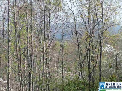 Wooded lot with a nice spring.