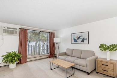 Black Forest Condominiums unit 123, Fridley, MN 55432 - photo 3