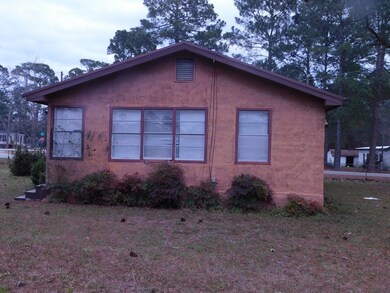 413 E Revels Ave, Lenox, GA 31637 - photo 4