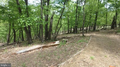 Lot 203 Hampshire Ridge, Romney, WV 26757 - photo 4