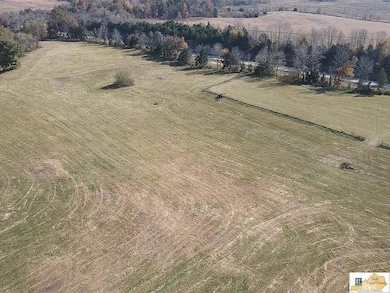 177 Coldstream Dr, Columbia, KY 42728 - photo 3