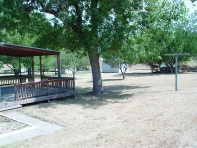 back yard
