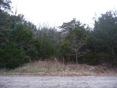 Lot 19 N Wilderness Trail, Kimberling City, MO 65686 - photo 4