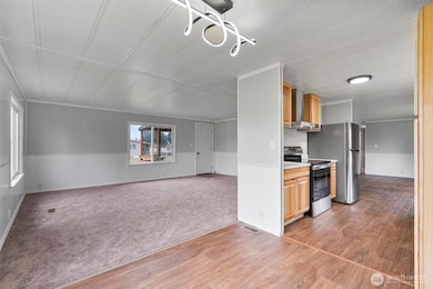 8826 183rd Ave SW, Rochester, WA 98579 - photo 5