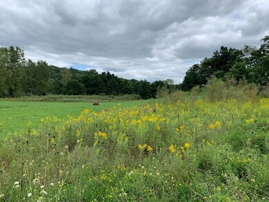 0 Lamor Rd, Mercer, PA 16137 - photo 6