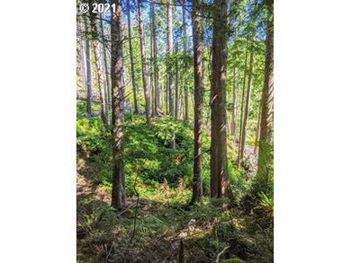 0 SE Quay Place unit 21466592, Lincoln City, OR 97367 - photo 4