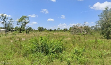 View of undeveloped land