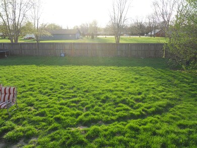 back yard