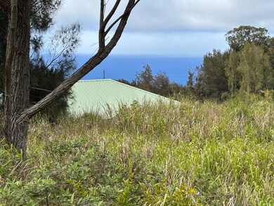 0 Palikekua St unit 722634, Honokaa, HI 96727 - photo 4