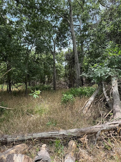 View of local wilderness