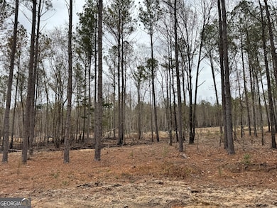 0 Bastonville Rd unit 10627311, Gibson, GA 30810 - photo 7