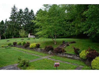 Yard/Garden.