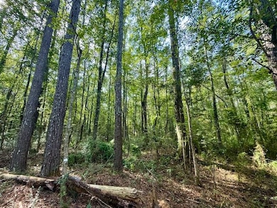 325 Beartown Rd, Jayess, MS 39641 - photo 3