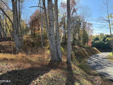 #26 Vineyard Valley Trail, Butler, TN 37640 - photo 7