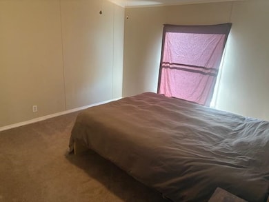 4503 Peter Creek Rd, Austin, KY 42123 - photo 7