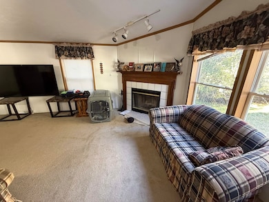 5031 Flat Rock Heights Rd, Cecil, WI 54111 - photo 7