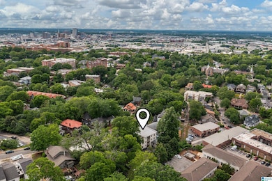 1305 31st St S unit 202, Birmingham, AL 35205 - photo 3