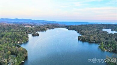 Aerial shot of Lake Toxaway