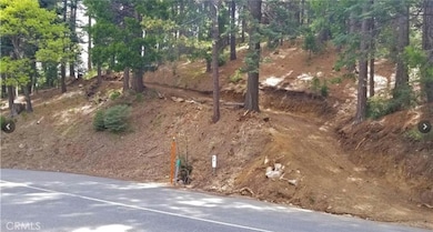 525 California 173, Lake Arrowhead, CA 92352 - photo 3