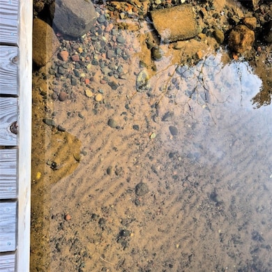 Sandy bottom shoreline-water stays clear all summer!
