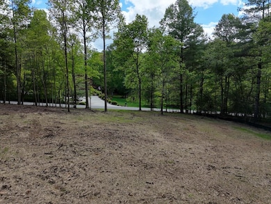 0 The Landing unit 415661, Blairsville, GA 30512 - photo 6