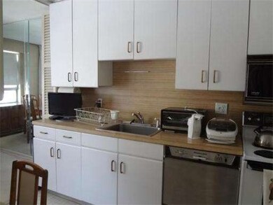 Hammond Park Condominiums unit 204, Chestnut Hill, MA 02467 - photo 6