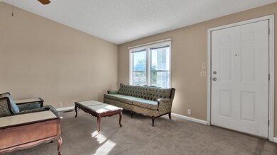 Entry/living room