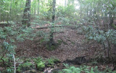 Additional View