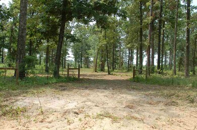 0 Bond Rd unit ACREAGE 281563, Cairo, GA 39828 - photo 3
