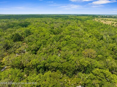 Citrus drone view