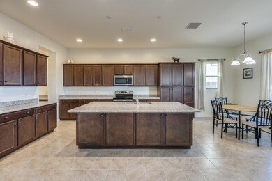Desert Firetail Lane-21