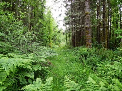 14630 164th Ln SE, Rainier, WA 98576 - photo 6