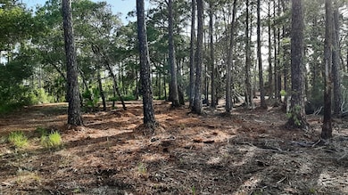 2970 Pristine Dr, Carrabelle, FL 32322 - photo 2