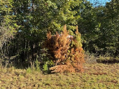 000 Hwy 9, Rushing, AR 72051 - photo 7