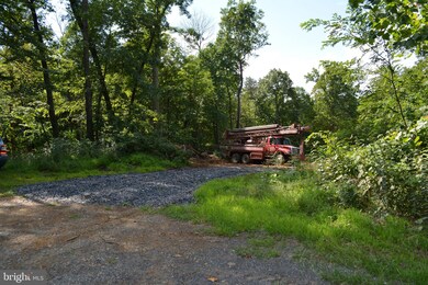 289 Heim-Jones Rd, Linden, VA 22642 - photo 7