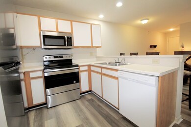 2455 Campus View Cir unit 203, Harrisonburg, VA 22801 - photo 6